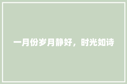 一月份岁月静好，时光如诗