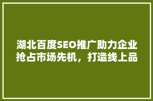 湖北百度SEO推广助力企业抢占市场先机，打造线上品牌新高度