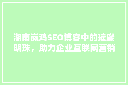 湖南岚鸿SEO博客中的璀璨明珠，助力企业互联网营销之路