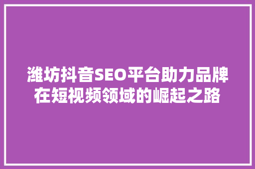 潍坊抖音SEO平台助力品牌在短视频领域的崛起之路