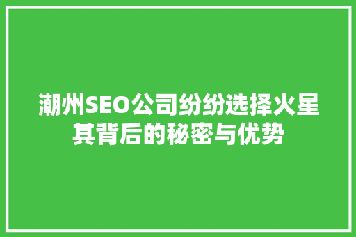 潮州SEO公司纷纷选择火星其背后的秘密与优势