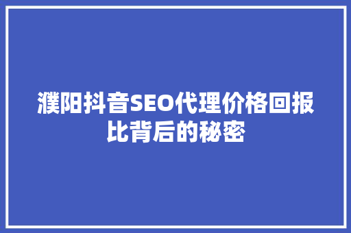 濮阳抖音SEO代理价格回报比背后的秘密