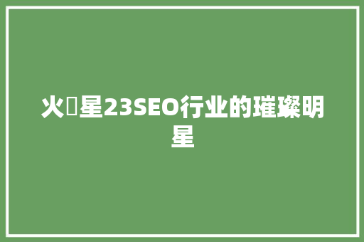 火亅星23SEO行业的璀璨明星
