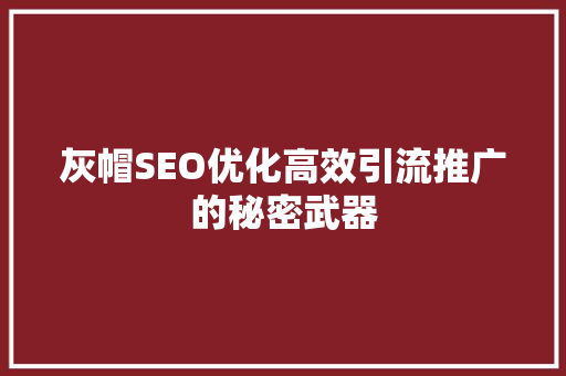 灰帽SEO优化高效引流推广的秘密武器