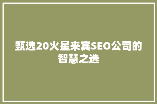 甄选20火星来宾SEO公司的智慧之选