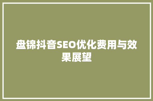 盘锦抖音SEO优化费用与效果展望