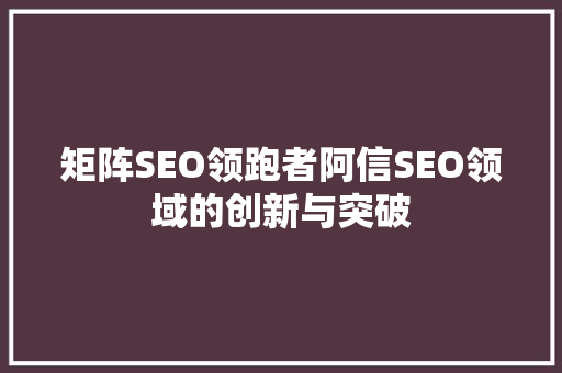 矩阵SEO领跑者阿信SEO领域的创新与突破