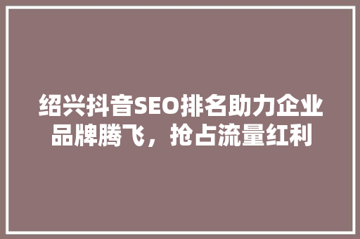 绍兴抖音SEO排名助力企业品牌腾飞，抢占流量红利