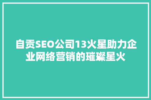 自贡SEO公司13火星助力企业网络营销的璀璨星火