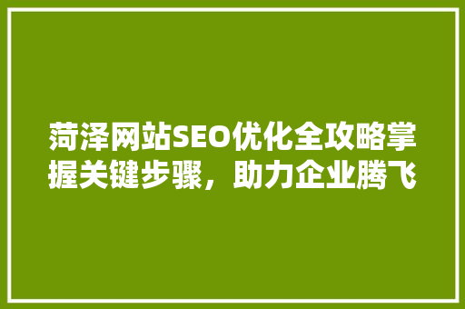 菏泽网站SEO优化全攻略掌握关键步骤，助力企业腾飞