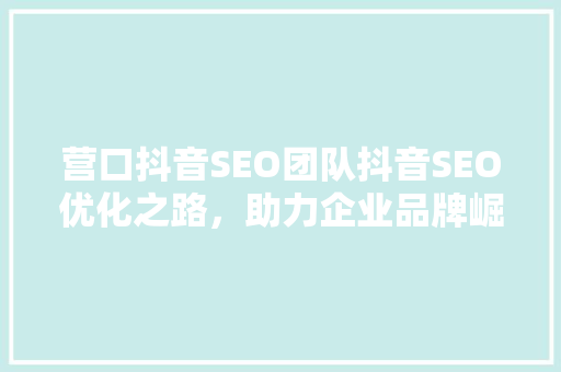 营口抖音SEO团队抖音SEO优化之路，助力企业品牌崛起