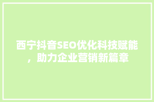 西宁抖音SEO优化科技赋能，助力企业营销新篇章