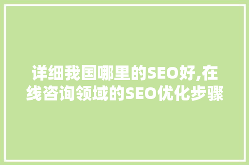 详细我国哪里的SEO好,在线咨询领域的SEO优化步骤
