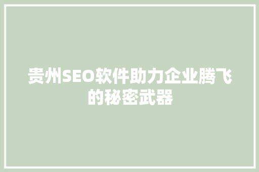 贵州SEO软件助力企业腾飞的秘密武器