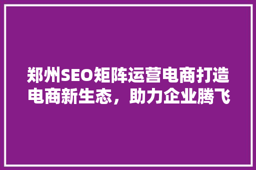 郑州SEO矩阵运营电商打造电商新生态，助力企业腾飞