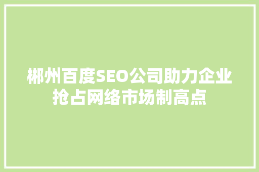 郴州百度SEO公司助力企业抢占网络市场制高点
