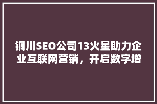 铜川SEO公司13火星助力企业互联网营销，开启数字增长新篇章