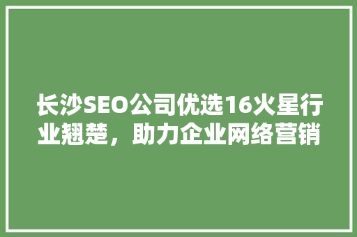 长沙SEO公司优选16火星行业翘楚，助力企业网络营销腾飞