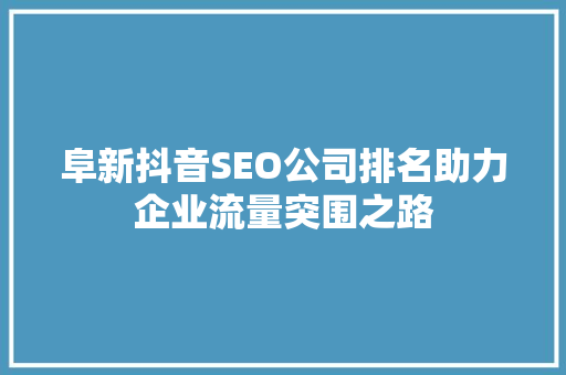 阜新抖音SEO公司排名助力企业流量突围之路