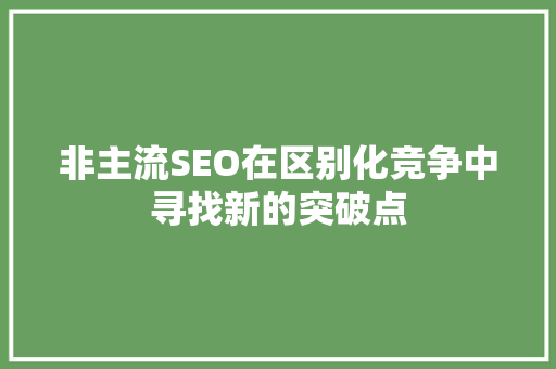 非主流SEO在区别化竞争中寻找新的突破点