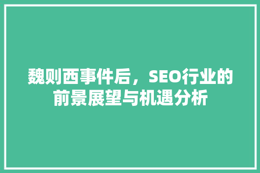魏则西事件后，SEO行业的前景展望与机遇分析