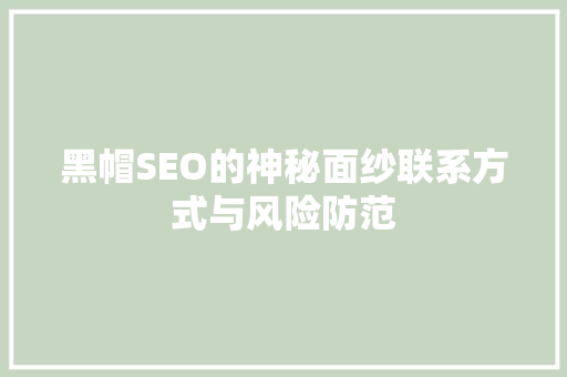 黑帽SEO的神秘面纱联系方式与风险防范