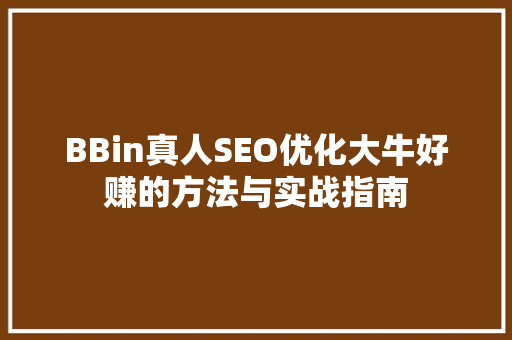 BBin真人SEO优化大牛好赚的方法与实战指南