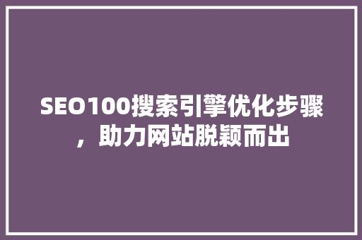 SEO100搜索引擎优化步骤，助力网站脱颖而出