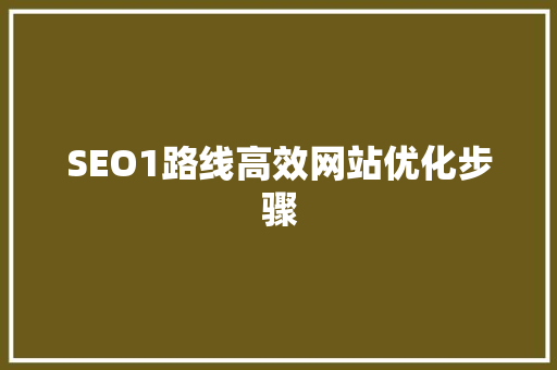 SEO1路线高效网站优化步骤