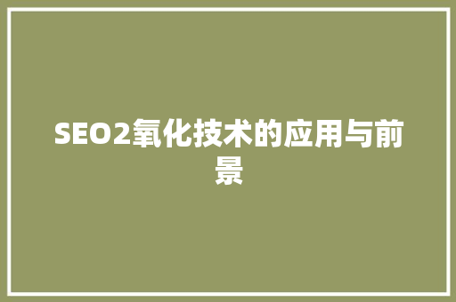 SEO2氧化技术的应用与前景