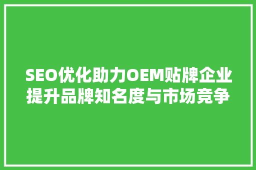 SEO优化助力OEM贴牌企业提升品牌知名度与市场竞争力