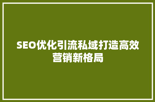 SEO优化引流私域打造高效营销新格局