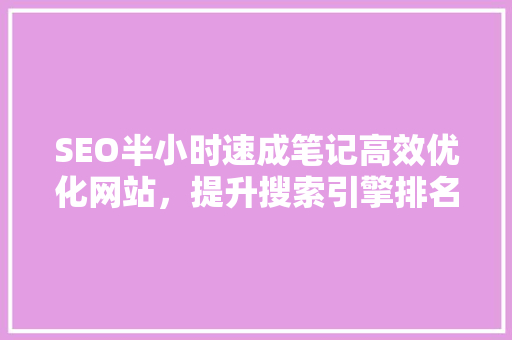 SEO半小时速成笔记高效优化网站，提升搜索引擎排名