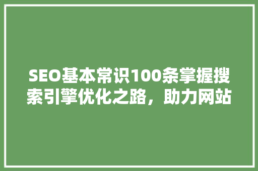 SEO基本常识100条掌握搜索引擎优化之路，助力网站排名提升