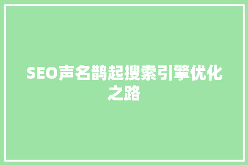 SEO声名鹊起搜索引擎优化之路