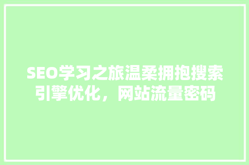 SEO学习之旅温柔拥抱搜索引擎优化，网站流量密码
