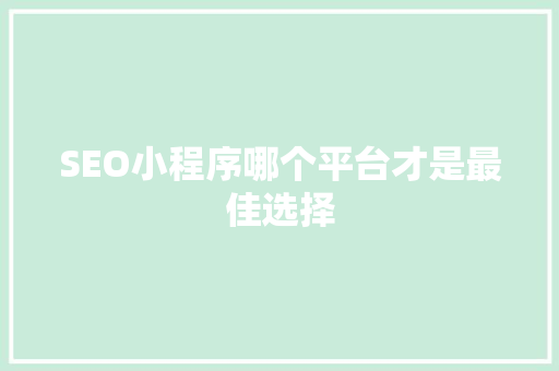 SEO小程序哪个平台才是最佳选择