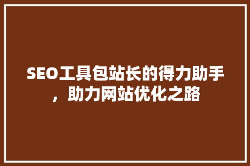 SEO工具包站长的得力助手，助力网站优化之路