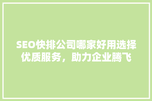 SEO快排公司哪家好用选择优质服务，助力企业腾飞