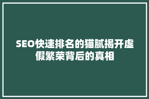 SEO快速排名的猫腻揭开虚假繁荣背后的真相