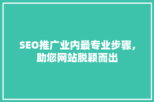 SEO推广业内最专业步骤，助您网站脱颖而出
