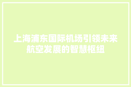 上海浦东国际机场引领未来航空发展的智慧枢纽