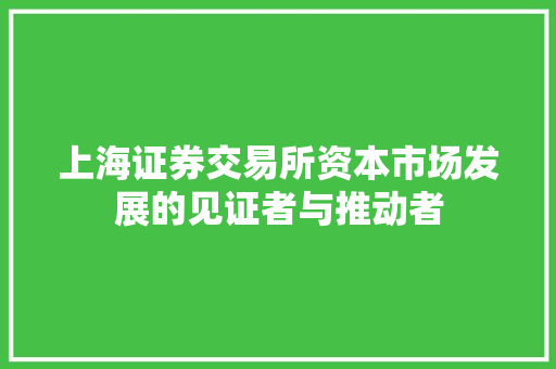 上海证券交易所资本市场发展的见证者与推动者