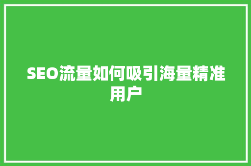 SEO流量如何吸引海量精准用户