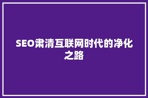 SEO肃清互联网时代的净化之路