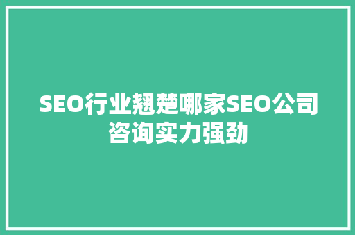 SEO行业翘楚哪家SEO公司咨询实力强劲