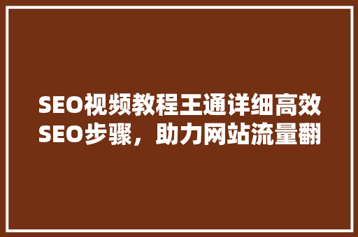 SEO视频教程王通详细高效SEO步骤，助力网站流量翻倍