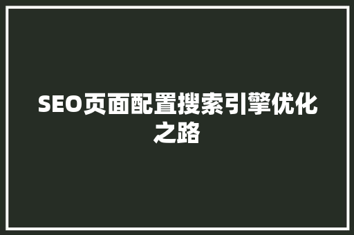 SEO页面配置搜索引擎优化之路