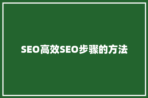 SEO高效SEO步骤的方法