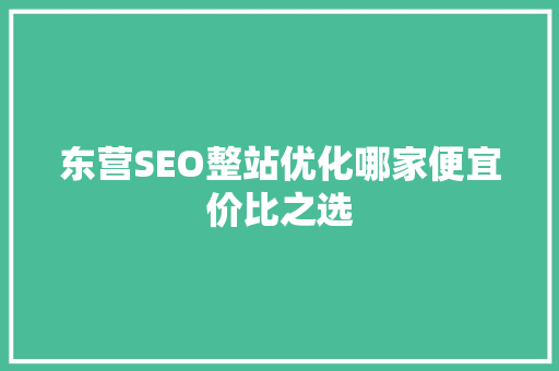 东营SEO整站优化哪家便宜价比之选